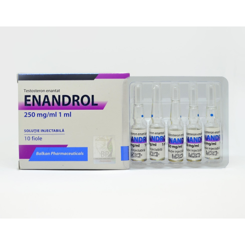 BP Enandrol