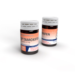 SP Tamoxifen